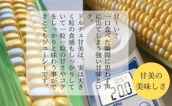 【先行予約】リピーター続出！とうもろこし【ドルチェ甘美】