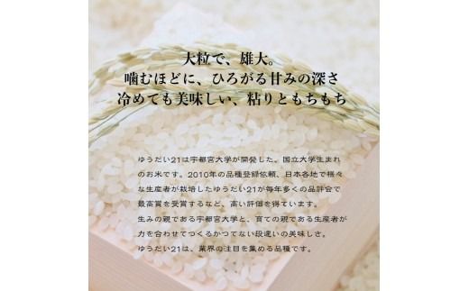 【新米受付・令和8年産米】新潟県村上市 岩船産 ゆうだい21（神林産地）5kg　1059001N