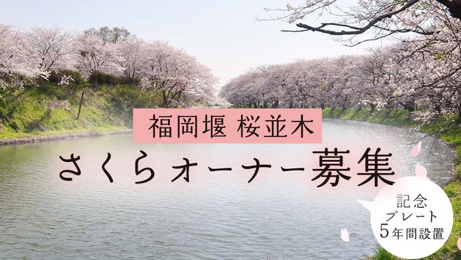 y錧΂݂炢szy   zI[i[Wy5NԁELOv[gݒuz  I[i[ I[i[x  ۑS Rی ۑSǗ nv j LO LOBe ʐ^Be LOʐ^ vo tHg a ܎O EFfBO  ⍥   w 