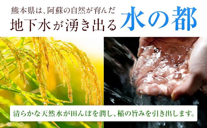 無洗米 訳あり 家庭用 熊本ふるさと 無洗 米 選べる内容量 5kg 10kg