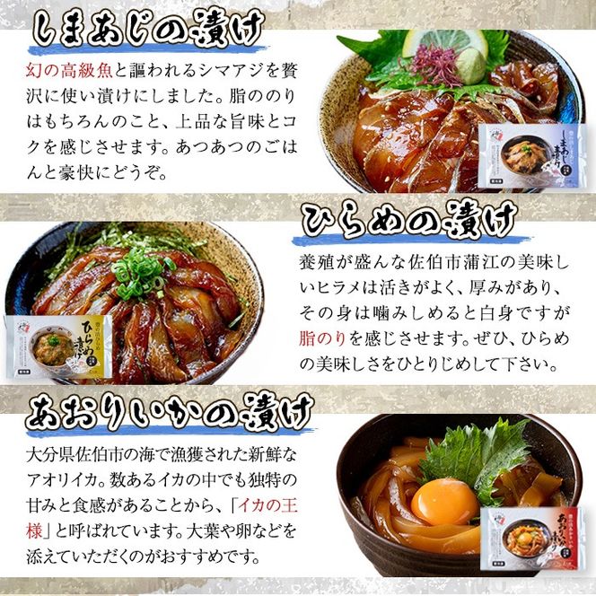 漬け丼 5種セット (計10食分・2食入×5種) りゅうきゅう あつめし 魚介 鰤 ブリ 真鯛 タイ シマアジ アジ ヒラメ 鮃 アオリイカ イカ 冷凍 海鮮 海の直売所 大分県 佐伯市【AS147】【海べ (株)】