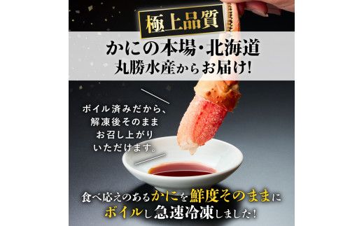 訳あり 冷凍 ボイル ずわいがに 爪 600gズワイガニ 【 本ズワイガニ 不揃い 規格外 カニクリームコロッケ 蟹爪 ボイル済み むきやすい 定期便 3回 お届け 不揃い ギフト 2026】