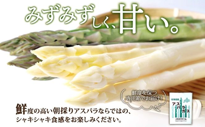 【 2026年 発送 】 北海道産 アスパラガス グリーン ホワイト 2種 約 900g×2 計1.8kg S - L サイズ混合 食べ比べ アスパラ 旬 朝採り 新鮮 お取り寄せ 産地直送 産直 野菜 農作物 詰め合わせ 国産 しりべしや 