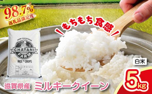 【新米】令和8年産　近江米　ミルキークイーン 白米【5kg×1袋】【V009W2】（滋賀県　近江八幡市）