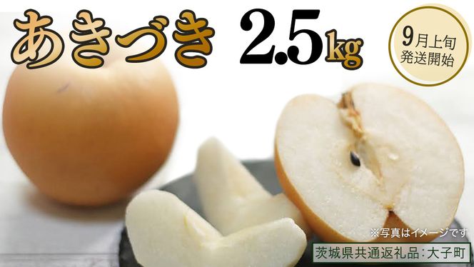 あきづき 2.5kg 【 2026年9月上旬発送開始 】 ( 茨城県共通返礼品：大子町 ) 梨 なし 果物 くだもの フルーツ 秋月 ナシ 農家直送 産地直送