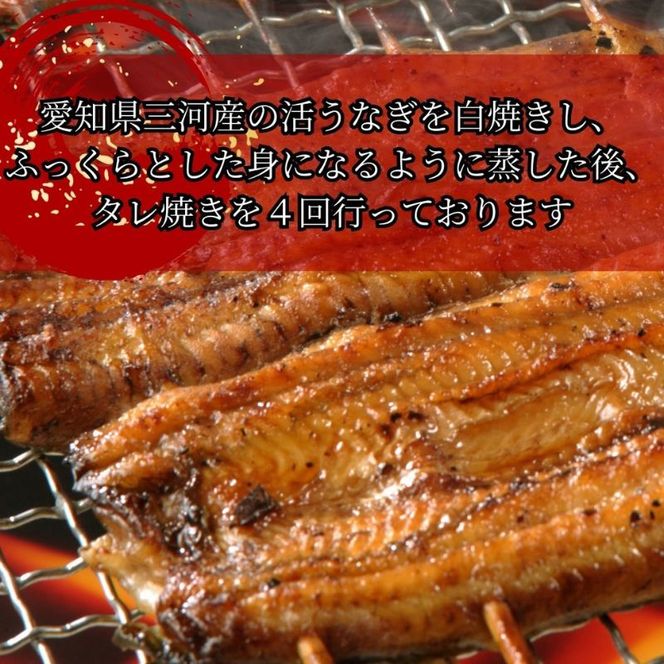 【三河産 鰻】うなぎ蒲焼セット2尾（活魚1本200g×2） 国産活うなぎ 脂 安心安全 特別な日 ふっくらとした身 