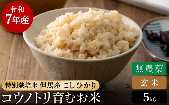 令和7年産 無農薬 玄米 5kg コウノトリ育むお米 但馬産 こしひかり 兵庫県産 (5kg×1袋) 無農薬 お米 5キロ 玄米 コウノトリ米 コシヒカリ 農薬不使用 特別栽培米 予約 コメ こめ ご飯 ライス 無農薬米