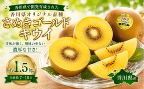 さぬきゴールドキウイ  約1.5kg 化粧箱 キウイ フルーツ 果物 香川県 土庄町
