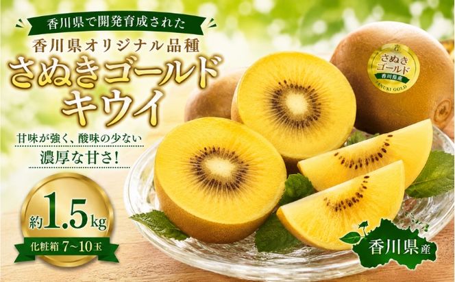 さぬきゴールドキウイ  約1.5kg 化粧箱 キウイ フルーツ 果物 香川県 土庄町
