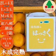 2箱セット ちょっと 傷あり 木成完熟 紅はっさく 2L ～ M ( 4玉 ～ 6玉 ) 手さげ箱 【2026年4月上旬～発送】 BS791