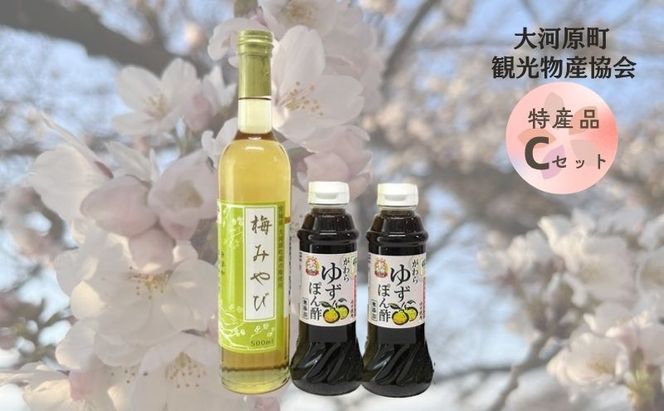 大河原町観光物産協会 特産品Cセット ドレッシング 調味料 ポン酢 柚子 梅 シロップ 果実 詰め合わせ 