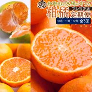 厳選 柑橘定期便S（10～12月）全3回 ［IKE291］ 303446_BB90200