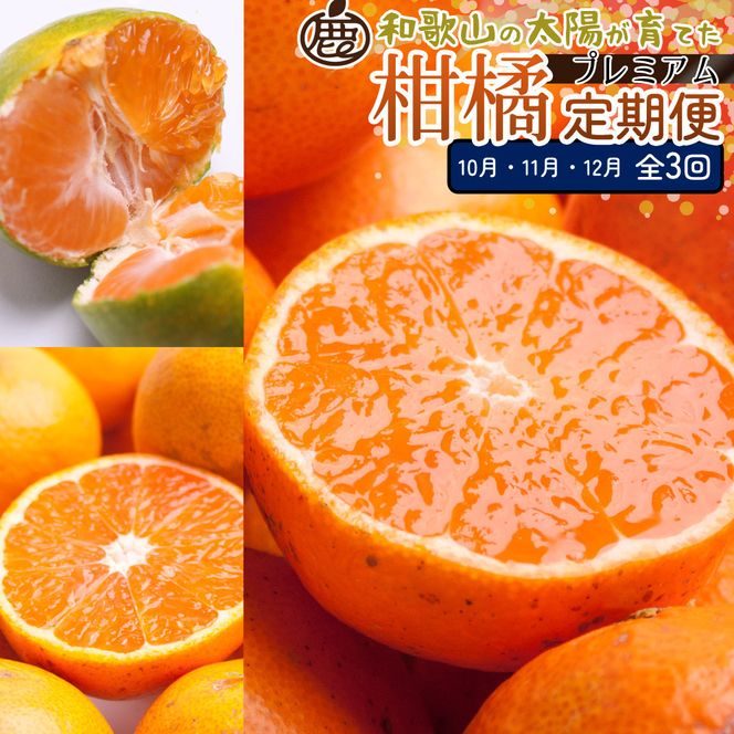 ya̎R쒬zI kSi10`12jS3 mIKE291n 303446_BB90200