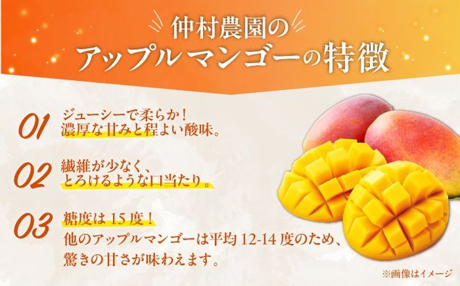農園直販！沖縄アップルマンゴー贈答用 アップルマンゴー秀品 2kg - 沖縄マンゴー直売【おきなわんふ