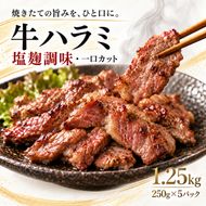 牛ハラミ肉 塩麹調味 一口カット 1.25kg (250g×5パック) セット 詰め合わせ 牛 牛肉 お肉 肉 牛ハラミ ハラミ ハラミ肉 味付け肉 味付き肉 小分けパック 小分け 焼肉 焼き肉 アウトドア キャンプ 京都 京都府 南丹市