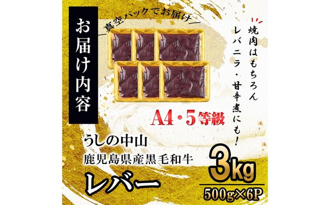 うしの中山 A4・A5等級黒毛和牛 レバー 計3kg（500g×6P）c0-133