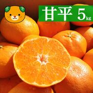先行予約 甘平 約5kg みかん 蜜柑 柑橘 オレンジ フルーツ 果物 くだもの 高級 ブランド ビタミン 美容 健康 愛媛 愛南 【お届け期間:2024年1月頃～2月頃】  (なくなり次第終了)