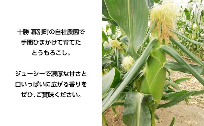 [2027年発送/先行予約] 定期便 十勝幕別の旬野菜 春夏 2回お届け（アスパラガス 800g・とうもろこし 20本） [北王農林] 【 アスパラ アスパラガス グリーン ハウス 恵味ゴールド とうもろこし とうきび コーン 野菜 甘い 北海道 十勝 幕別 】