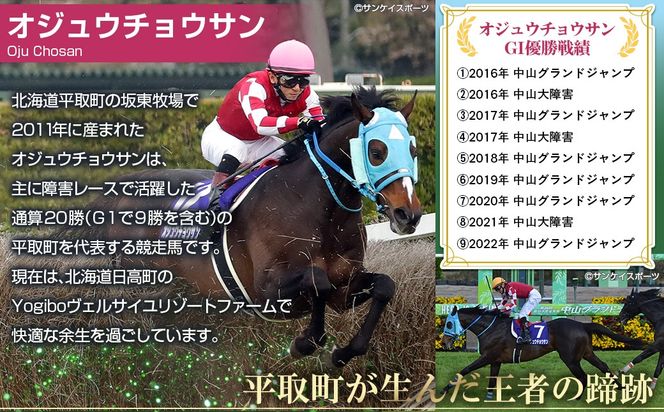 【オジュウチョウサン】コルクコースター3枚入り BRTV020