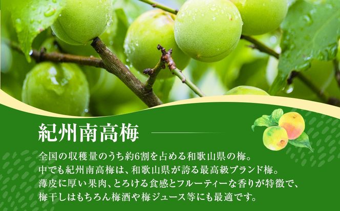 青梅 4kg 紀州南高梅 シロップ・梅酒・梅干し用等 和歌山県有田産 訳あり　2026年5月下旬～7月上旬発送予定  	CE049