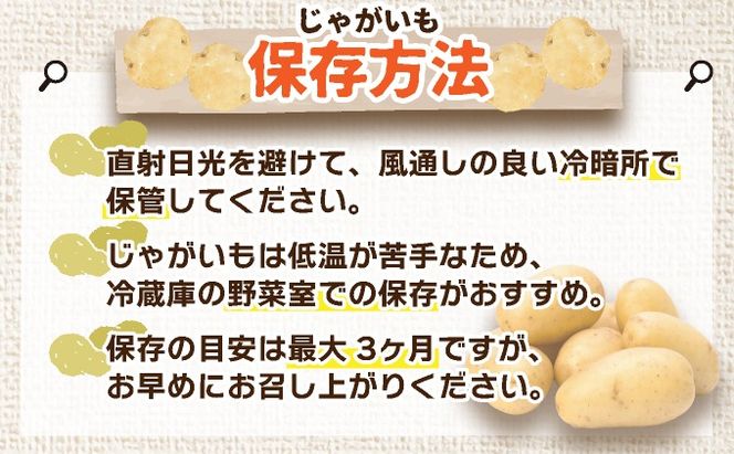 ＜先行予約＞北海道産 じゃがいも3種(とうや/メークイン/北あかり) 約10kg【55250950】 ジャガイモ 馬鈴薯 ポテト 芋 イモ 野菜 農作物 カレー コロッケ 人気 ふじいファーム