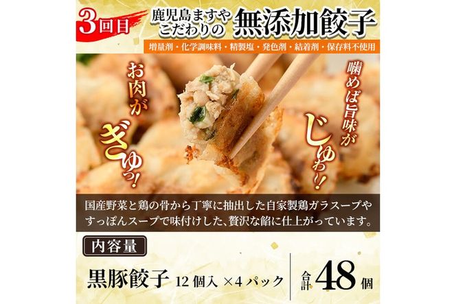 a968 ＜コラボ定期便＞姶良市おすすめ！人気のお惣菜定期便(全4回)【やまさき・AKR Food Company・鹿児島ますや・BAKERY chata】姶良市 鹿児島 コラボ 焼き鳥 焼鳥 やきとり ハンバーグ 餃子 ギョーザ ぎょうざ カレーパン パン 惣菜 総菜 おかず 時短