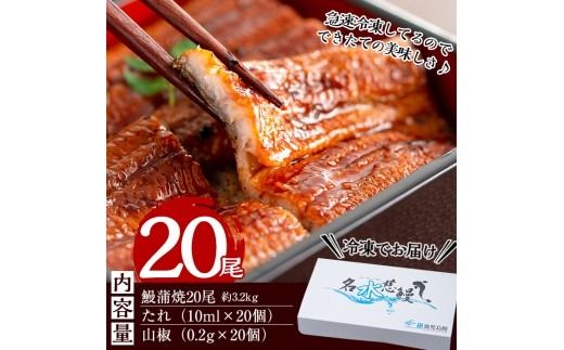鹿児島県産うなぎ蒲焼 名水慈鰻 20尾(1尾約160g)＜計約3.2kg＞ wa4-001