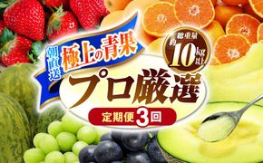 【12回コース】果物屋が選ぶ旬のフルーツ定期便 いちご メロン びわ みかん 梨 柿 など / 南島原市 / 贅沢宝庫 [SDZ023]