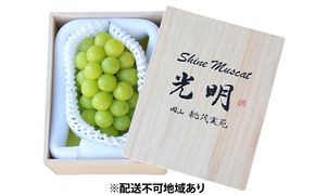 ぶどう 早期受付 極上追熟 シャイン マスカット 1房 650g以上 「光明」桐箱入り ブドウ 葡萄  岡山県産 国産 フルーツ 果物 ギフト 桃茂実苑 果物類 