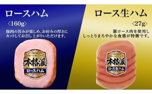 【 熨斗 対応品 】 日本ハム 筑西工場 本格派 ギフトセットC 肉 にく 贈答 ギフト 詰め合わせ ハム ソーセージ ウィンナー 生ハム お中元 お歳暮 [AA083ci]