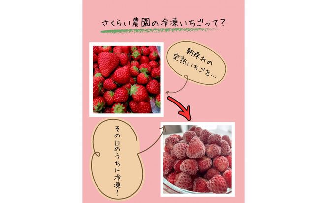 【訳アリ 冷凍いちご】静岡県産の完熟紅ほっぺを使用した冷凍いちご1kg【静岡県産】 222232_CF002