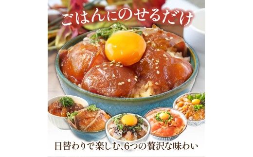 漬け丼6種セット 真鯛・ブリ・カンパチ・マグロ・サーモン・イカ 1食80g×各2P タイ 鰤 鮪 海鮮丼 刺身 海鮮 魚介 魚 お茶漬け 炊き込みご飯 惣菜 おかず 冷凍 配送