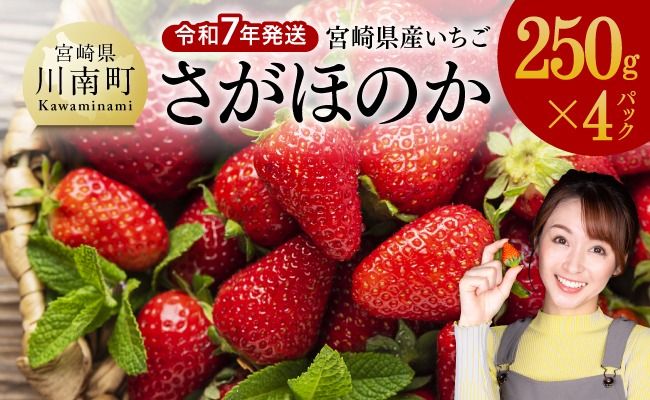 令和7年発送　宮崎県産いちご「さがほのか」250ｇ×4パック 【 先行予約 期間限定 果物 イチゴ 苺 フルーツ 】 [D03805]