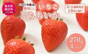 【先行予約】【定期便】いちご市 鹿沼の美味しい「い」「ち」「ご」とちあいか 1箱4パック入り（1パック270g×4） 2ヶ月連続発送 全2回 お届け ｜ イチゴ 果物 甘い ビタミンC かぬま ※沖縄・離島への配送不可 ※2026年1月上旬～2月下旬頃に順次発送予定