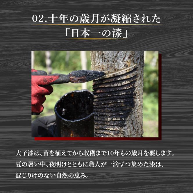 本物の器・大子漆八溝塗  朱塗盃｜茨城県 大子町 漆器 漆塗り 盃 酒 器 食器 和食器 木製 工芸品 伝統工芸（AD002）
