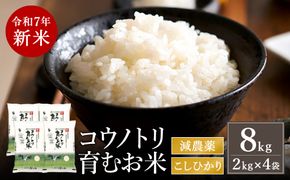 令和7年産　新米 減農薬 米 特別栽培米 8kg コウノトリ育むお米 但馬産 こしひかり 兵庫県産(2kg×4袋)（94-003）減農薬 お米 8キロ 精米 白米 コウノトリ米 コシヒカリ 新米 コメ こめ ご飯 ライス 減農薬米