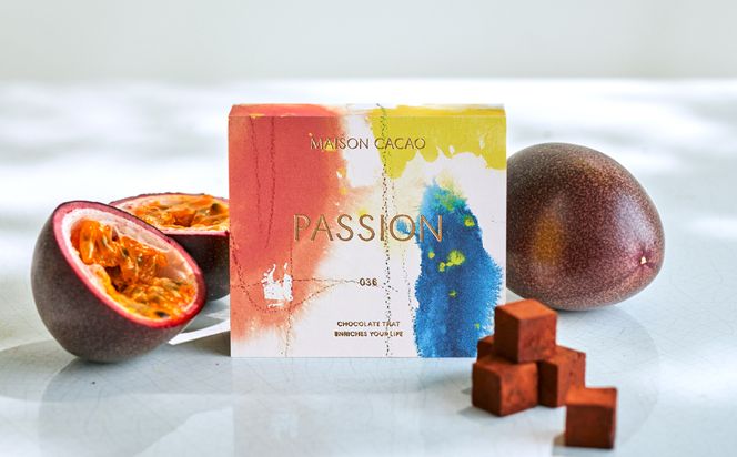 MAISON CACAO メゾンカカオ アロマ生チョコレート 2種セット（16粒×2箱）ハイカカオ パッションフルーツ ギフトボックス入 冷凍配送 神奈川県茅ヶ崎市