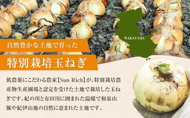［2026年発送分・先行予約］訳あり 農家さん直送 低農薬玉ねぎ 10kg程度 S～2L混合［4月中旬～7月中旬頃発送予定］ご家庭用 ※傷有り［KF14］ 303446_BE90019