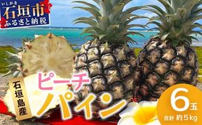【先行予約】 《2026年5月上旬頃より順次発送》石垣島産 ピーチパイン (6玉 約5㎏)【 産地直送 沖縄 石垣 パイナップル フルーツ 】石垣さんちの石垣トロピカルファーム TP-12