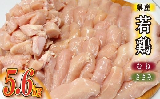 y{茧юszyJbgς݁z{茧Y{wV[Zbg v5.6kgiނ˓  { {l l g Ăj