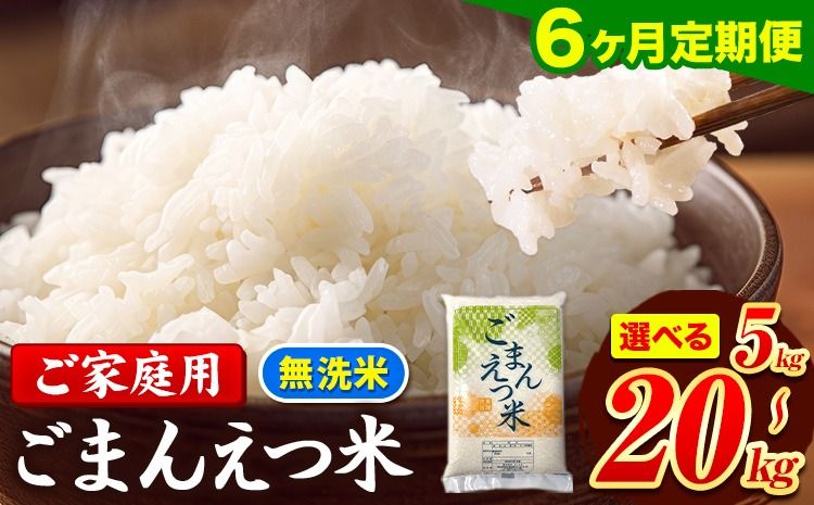 [6ヶ月定期便]訳あり 米 無洗米 ごまんえつ米 選べる内容量 5kg 10kg 15kg 20kg 米 こめ 定期便 家庭用 備蓄 熊本県 長洲町 くまもと ブレンド米 熊本県産 訳あり 常温 配送 [11月から出荷開始]---ng_gmntei_5kg_69000_nov6---