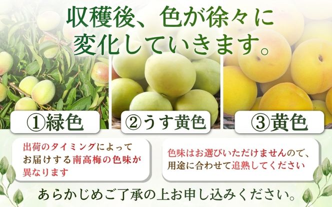 【梅干・梅酒用】大玉4Lサイズ10Kg熟南高梅 秀優混合＜2027年6月上旬～7月上旬ごろに順次発送予定＞【art022C】