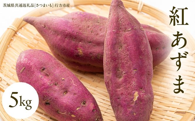 紅あずま 5kg （茨城県共通返礼品 [さつまいも]：行方市産） さつまいも 生芋 芋 いも 野菜 [BI412-NT]