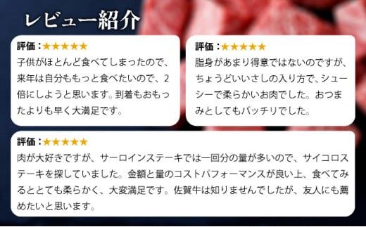 500g【佐賀産和牛】サイコロステーキ  B-1015
