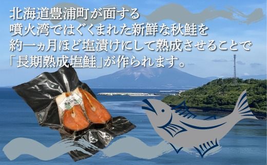漁師の手作り！ 長期熟成 塩鮭 約1.2kg 12～18切れ 小分け