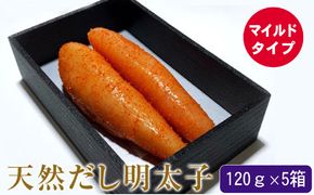 辛子明太子 天然だし 明太子 120g マイルド×5セット 配送不可 離島 マイルドな辛さ 至福の味 簡易贈答用 ギフト ご飯のお供 お茶漬け 冷蔵 