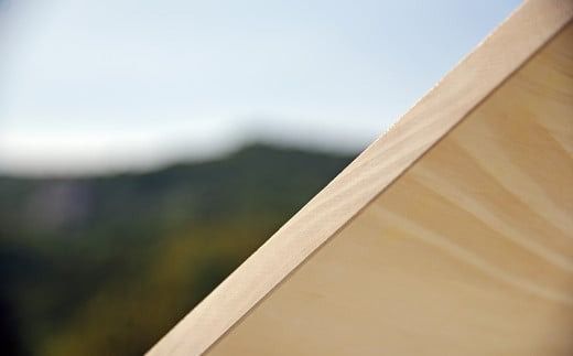 いちょうの木のまな板（小） 1枚 縦約21cm 横約36cm 厚さ2cm 重さ約0.9㎏ / まな板 キッチン用品 キッチン雑貨 調理器具 台所用品 木製 料理 調理 雑貨 日用品