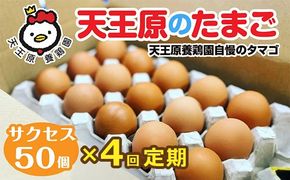 【定期便】4回定期 【天王原のたまご】 サクセス卵 50個入り 【定期便 4回定期便 セット たまご 卵 玉子 タマゴ 濃厚 ハリ 弾力 ボリューム 甘味 旨味 卵黄 風味 生 コク 甘味 卵かけご飯 卵焼き 目玉焼き オムレツ 茶碗蒸し お菓子作り パンの材料】