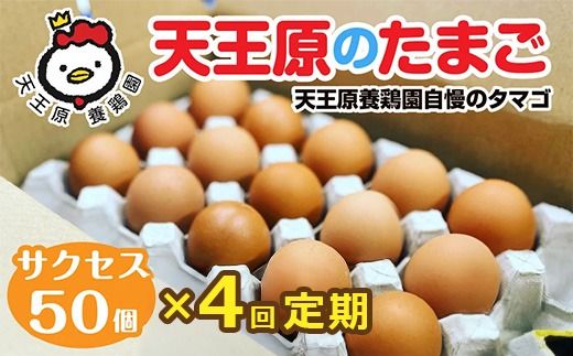 【定期便】4回定期 【天王原のたまご】 サクセス卵 50個入り 【定期便 4回定期便 セット たまご 卵 玉子 タマゴ 濃厚 ハリ 弾力 ボリューム 甘味 旨味 卵黄 風味 生 コク 甘味 卵かけご飯 卵焼き 目玉焼き オムレツ 茶碗蒸し お菓子作り パンの材料】