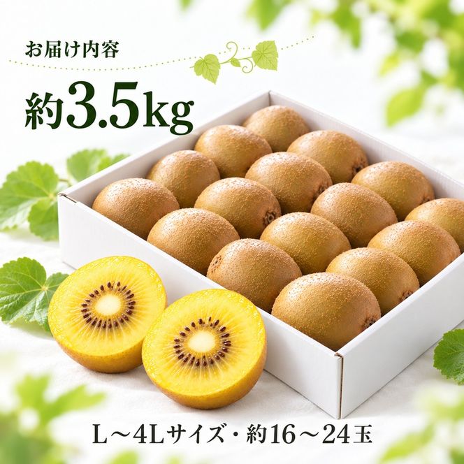 キウイ キウイフルーツ さぬきゴールドキウイ ゴールデンキウイ ゴールドキウイ 香川県産 国産 約3.5kg L～4Lサイズ 16～24玉 大玉 香川県オリジナル品種 追熟 食べごろ 甘い 朝食 デザート フルーツ 果物 くだもの 果実 香川県 東かがわ市 46312064